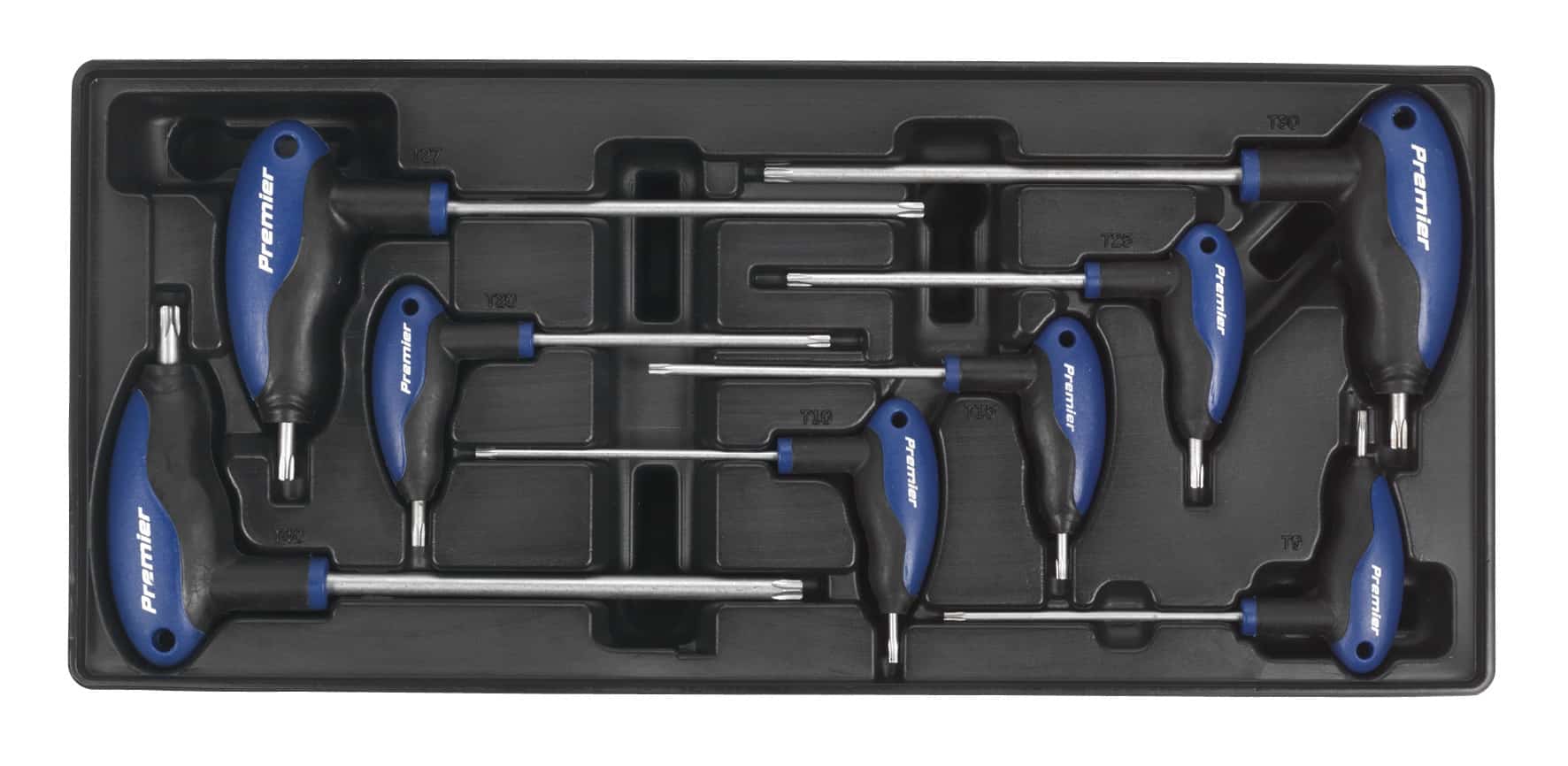 Premier tool set featuring hex keys in a black tray, including various sizes for versatile use in DIY and repair tasks.